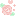 Everbloom // Pink Roses