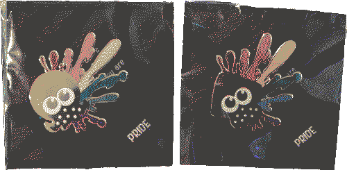 Squid and Octo Pride Keychains